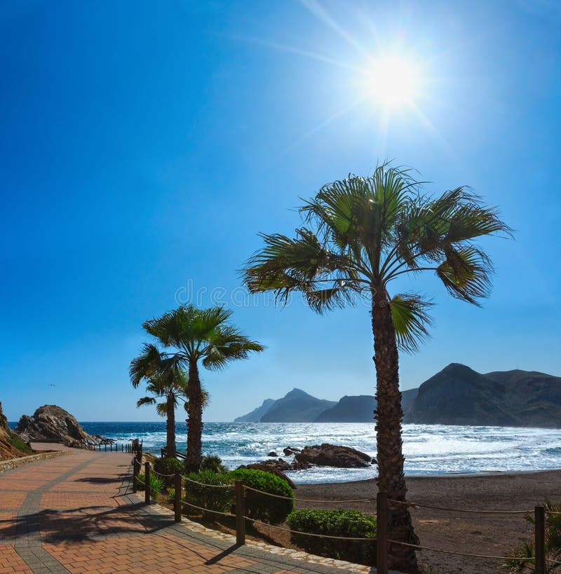 🌴 Palm-lined promenade, Bay of Portmán