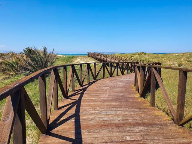 🌿 Dune park boardwalk to the beach, Guardamar
