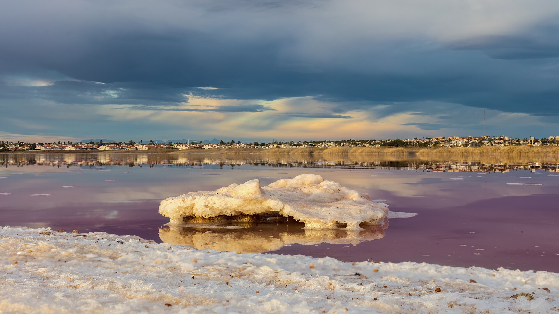 🌸 Pink Lagoon of Torrevieja